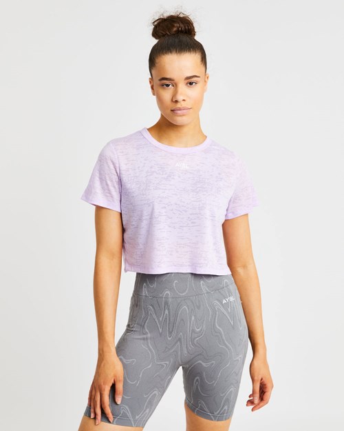 Womens Tops & T-Shirts  AYBL Elevate Seamless Long Sleeve Crop